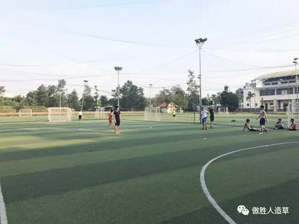 驚嘆｜高頻率使用超六年的球場草坪，竟顏值如新