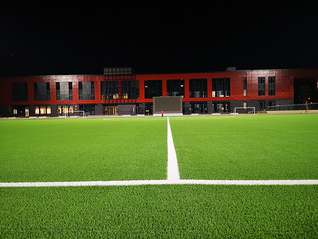 在哪些商業(yè)場合更適合使用人造草坪？