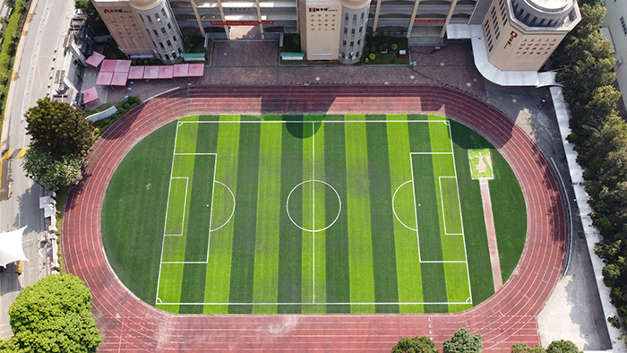 如何選擇體育場(chǎng)人造草坪？