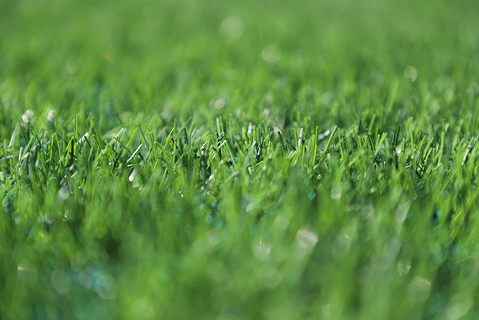 人造草坪足球場(chǎng)造價(jià)是多少？