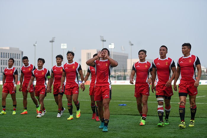 傲勝人造草 傲勝人造草