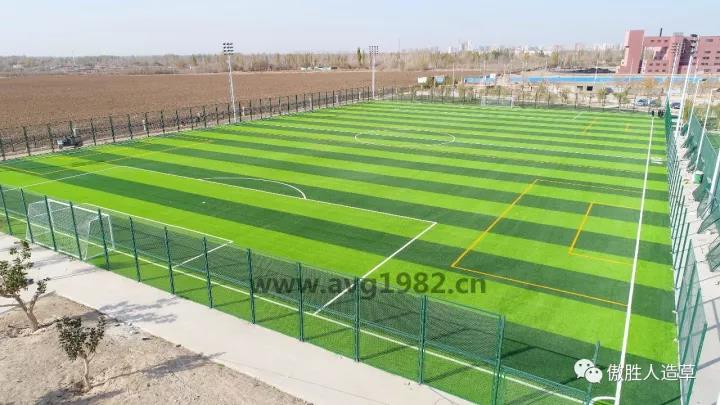 匹克體育文化主題公園 匹克體育文化主題公園