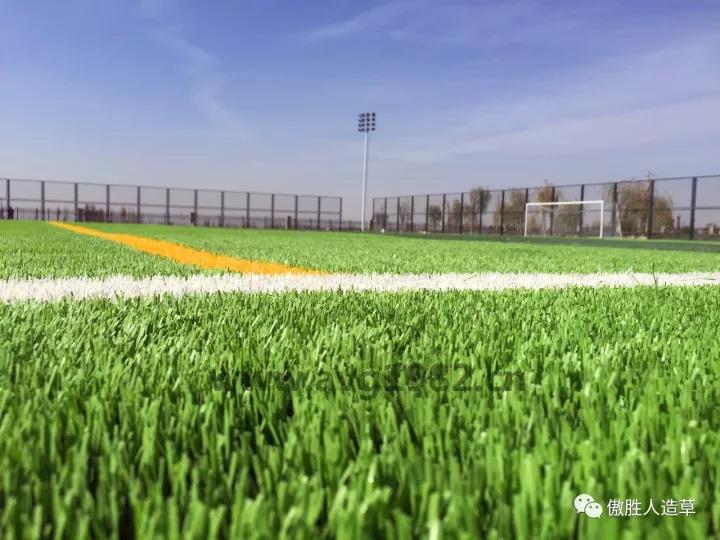 匹克體育文化主題公園 匹克體育文化主題公園