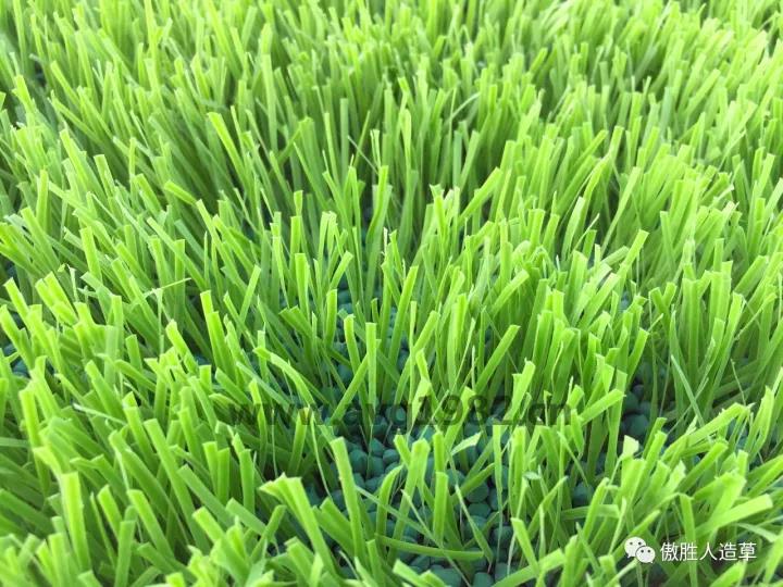 匹克體育文化主題公園 匹克體育文化主題公園