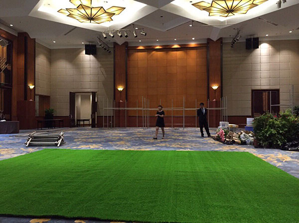 酒店草坪 酒店草坪