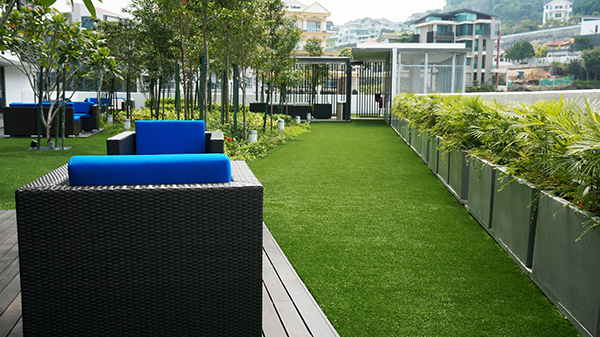 酒店草坪 酒店草坪