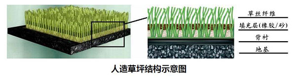 人造草坪結(jié)構(gòu) 人造草坪結(jié)構(gòu)