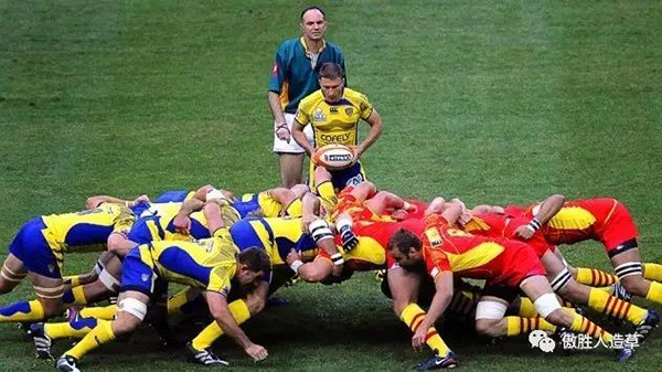 橄欖球比賽 橄欖球比賽