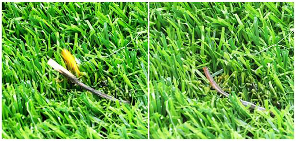 人造草坪阻燃性 人造草坪阻燃性