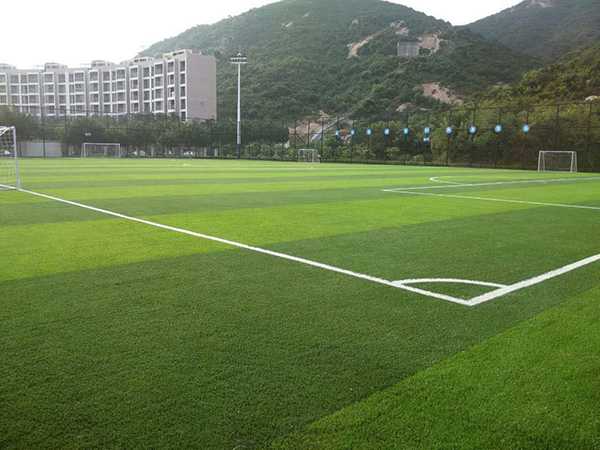 ren zao cao ren zao cao