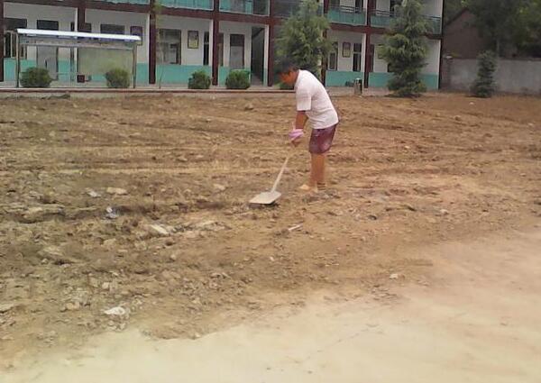 清理雜草 清理雜草