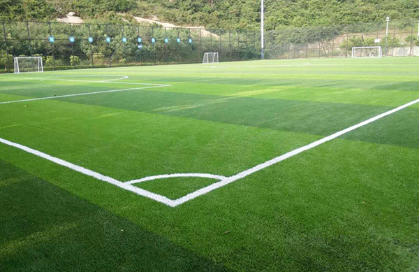 維護草坪 維護草坪