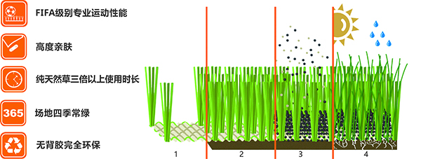 混合草系統(tǒng) 混合草系統(tǒng)