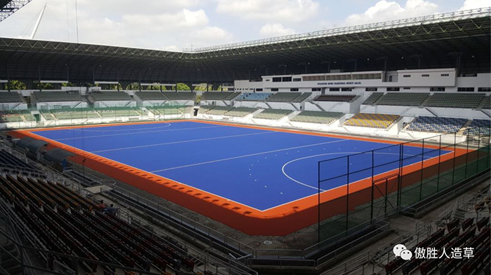 曲棍球案例 曲棍球案例