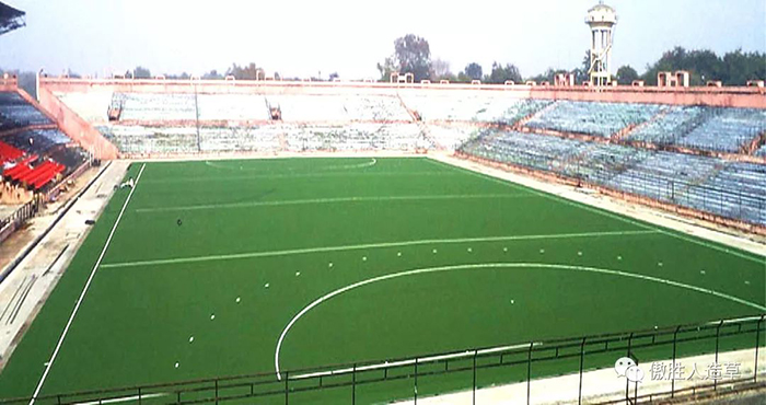 曲棍球案例 曲棍球案例