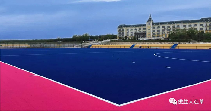 曲棍球案例 曲棍球案例