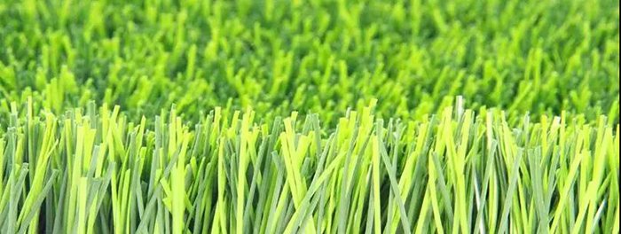 傲勝草坪 傲勝草坪