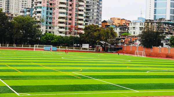 鳥巢鉆石單絲 鳥巢鉆石單絲