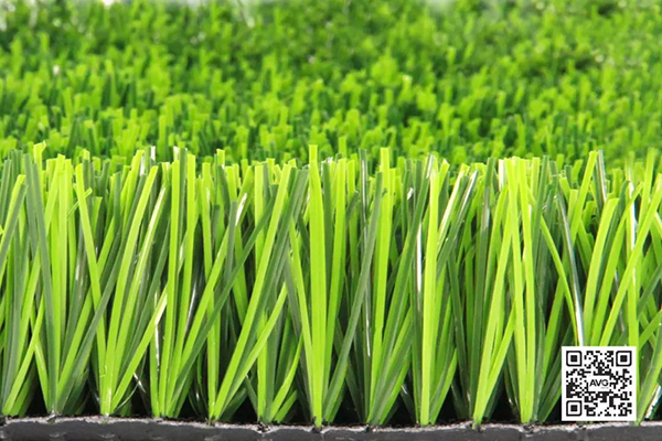 鳥巢鉆石單絲 鳥巢鉆石單絲