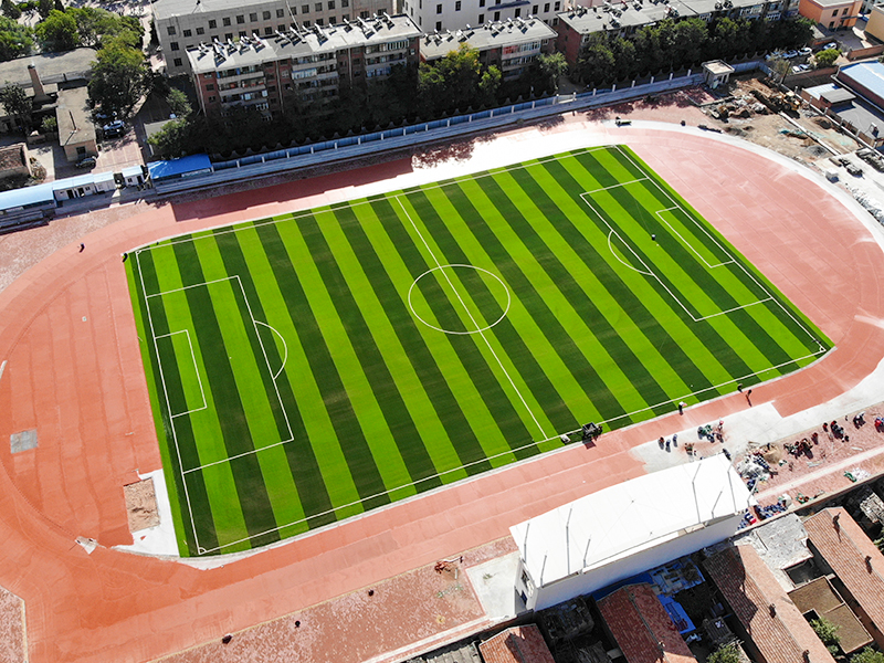 人工草皮 人工草皮