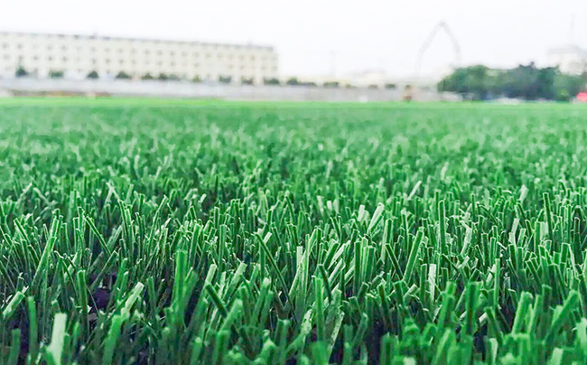 人造草足球場 人造草足球場