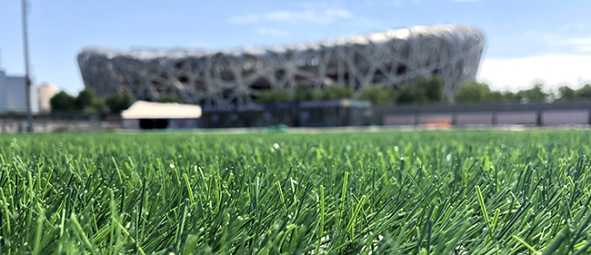 鳥巢體育館 鳥巢體育館