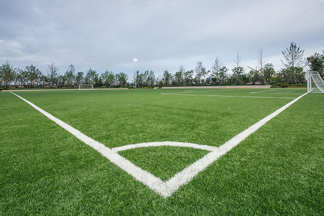 人造草足球場 人造草足球場