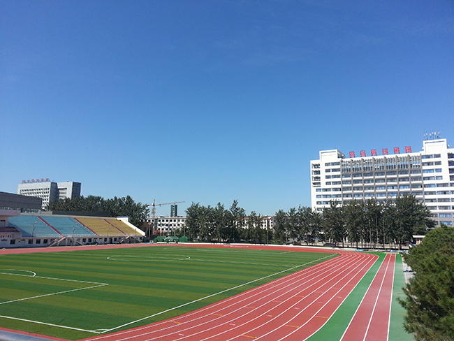 人造草坪球場 人造草坪球場