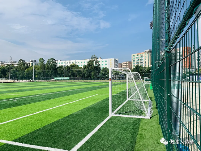 人造草坪足球場 人造草坪足球場