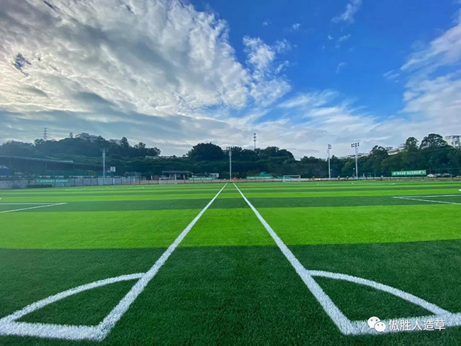 人造草坪場地 人造草坪場地