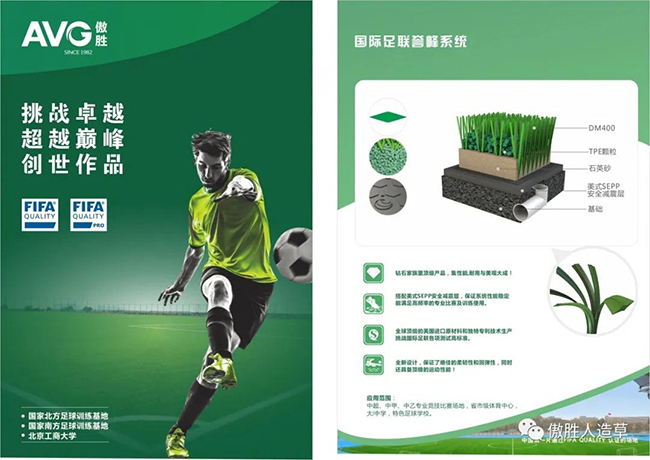 國際足聯(lián)譽峰系統(tǒng) 國際足聯(lián)譽峰系統(tǒng)