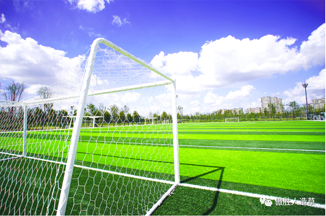 主題公園 主題公園