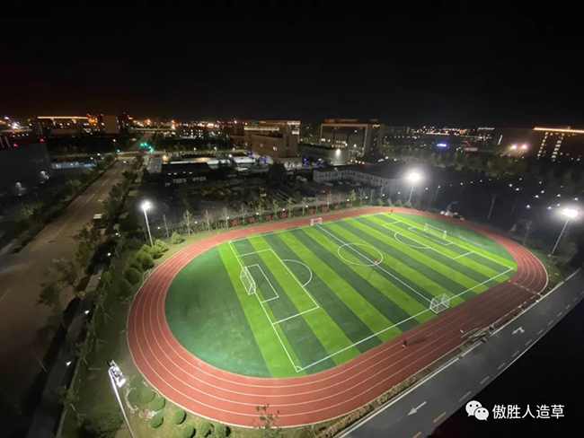 大興國際機場足球場 大興國際機場足球場