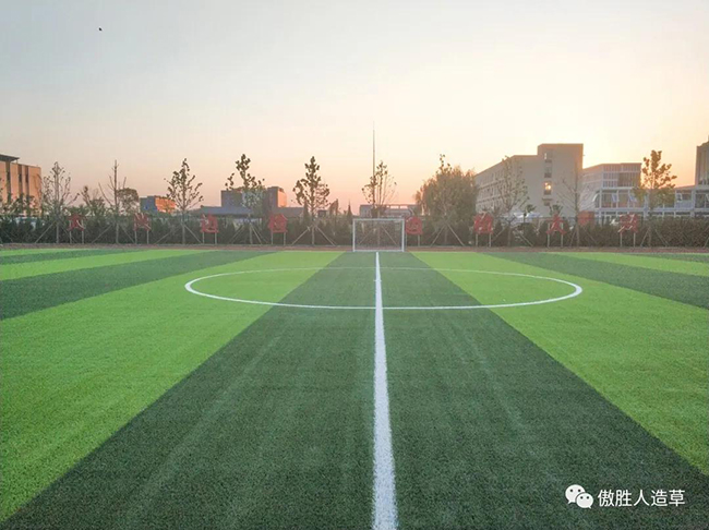 人造草坪足球場 人造草坪足球場