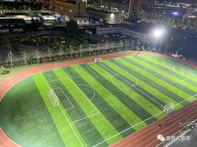大興機場人造草坪足球場 大興機場人造草坪足球場