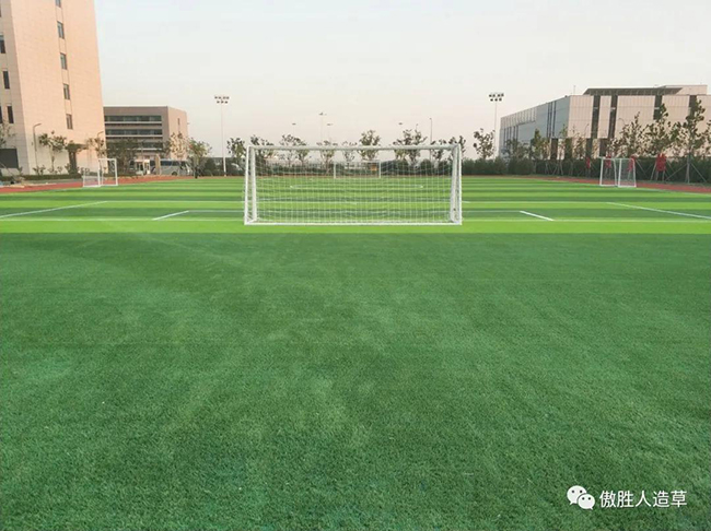 大興機場足球場 大興機場足球場