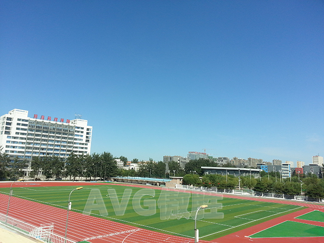 人造草坪生產(chǎn)廠家 人造草坪生產(chǎn)廠家