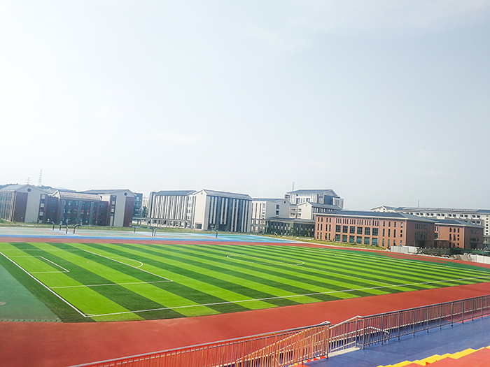 室外人造草坪 室外人造草坪